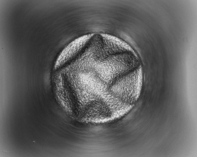 X0000089740249200707201907