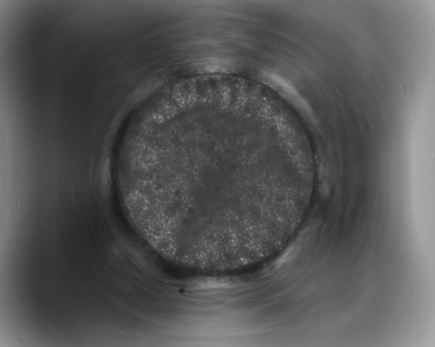 X0000089740250200707201907