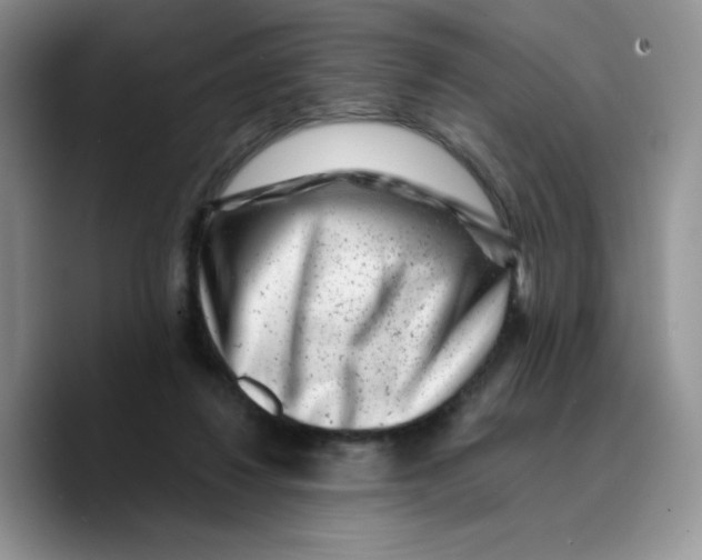 X0000089740260200707201908
