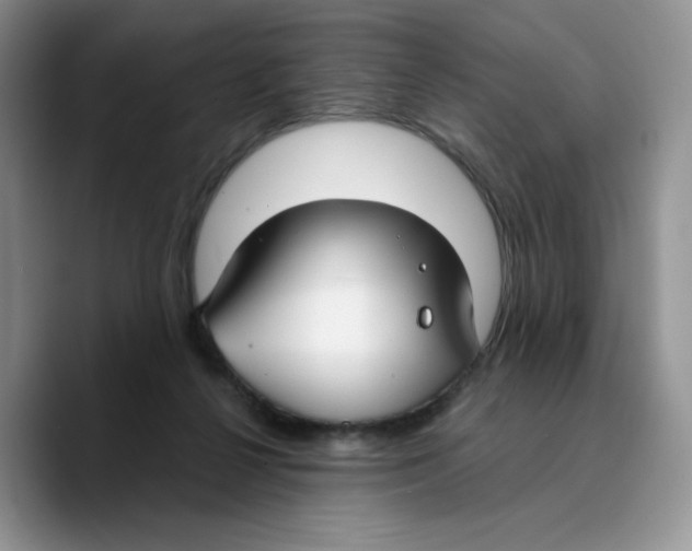 X0000089740264200707201908