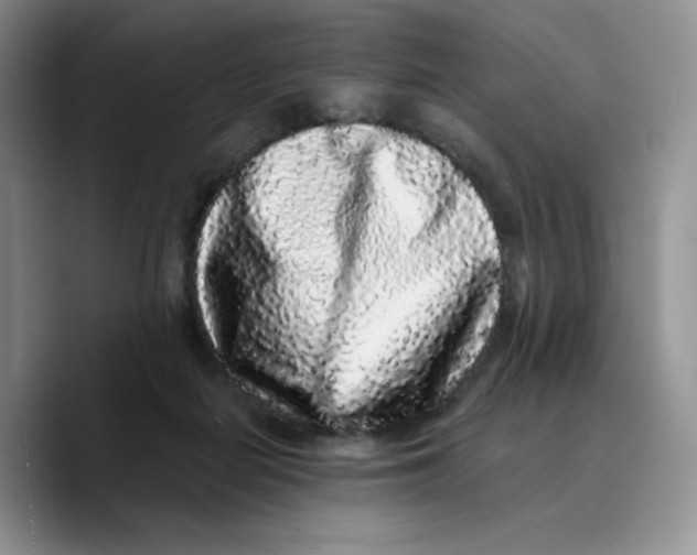 X0000089740266200707201908
