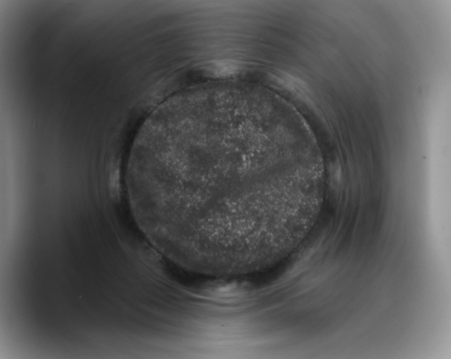 X0000089740267200707201908