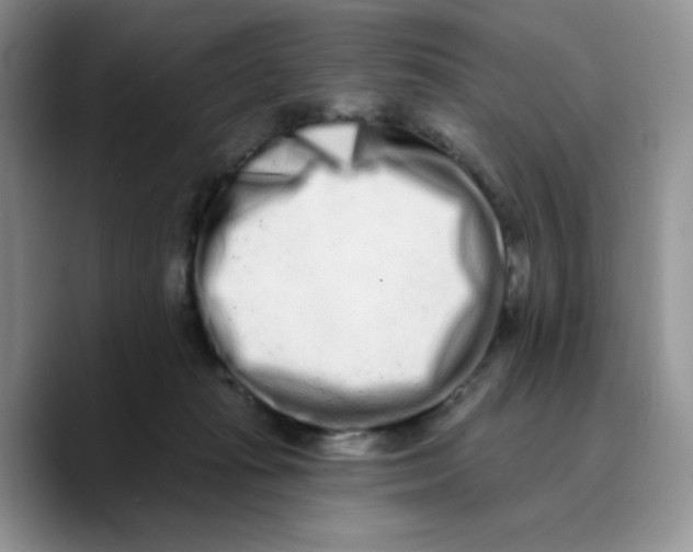 X0000089740269200707201908