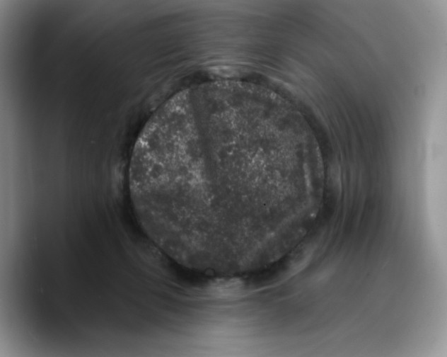 X0000089740271200707201908