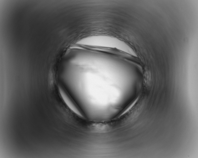 X0000089740272200707201908