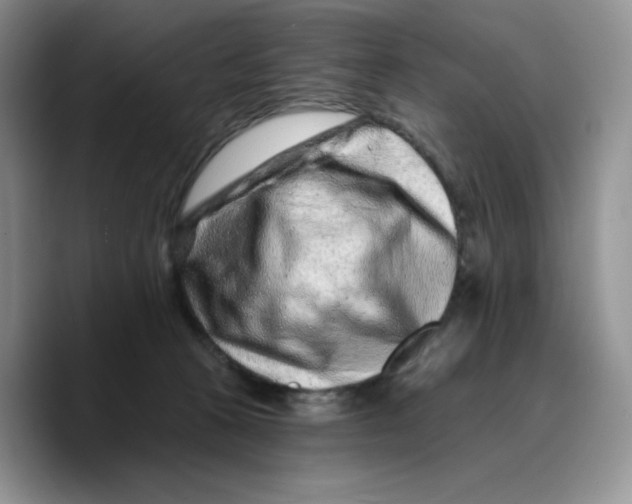 X0000089740273200707201908