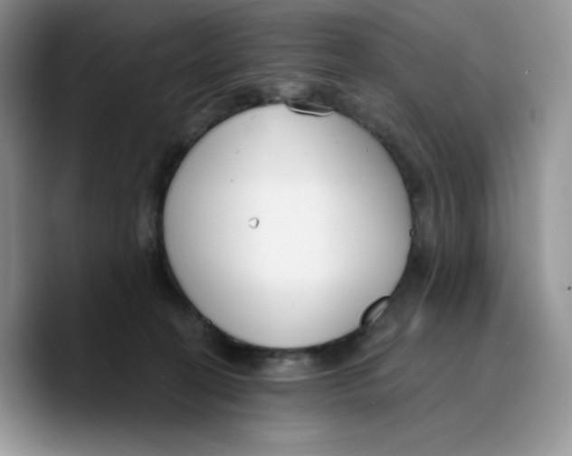 X0000089740274200707201908