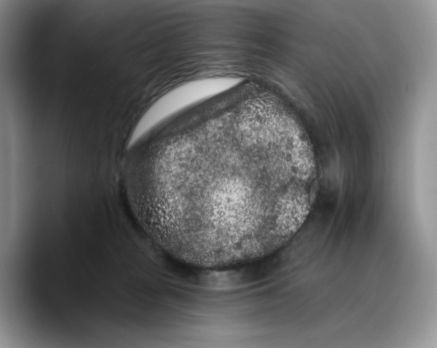 X0000089740277200707201908