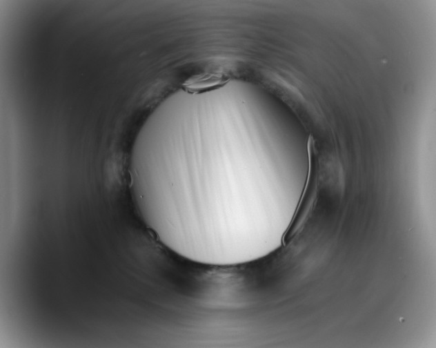 X0000089740280200707201908