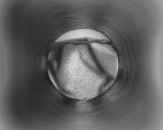 X0000089740281200707201908