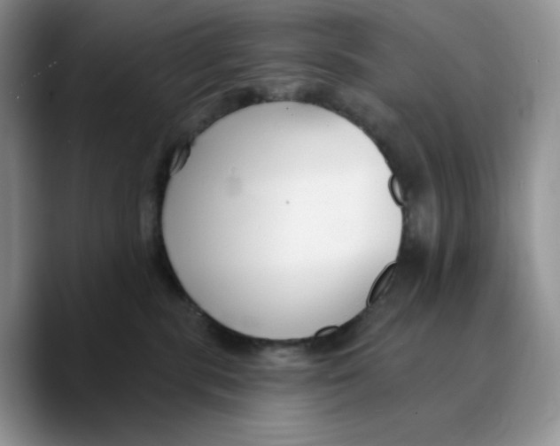 X0000089740283200707201908