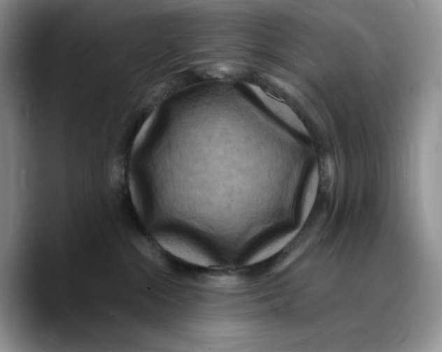 X0000089740284200707201908