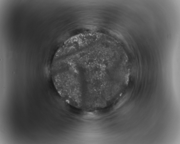 X0000089740285200707201908