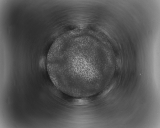 X0000089740286200707201908