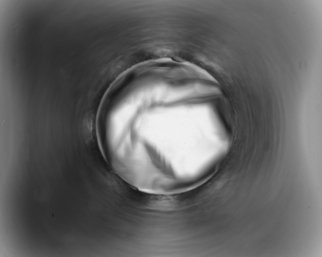 X0000089740288200707201908