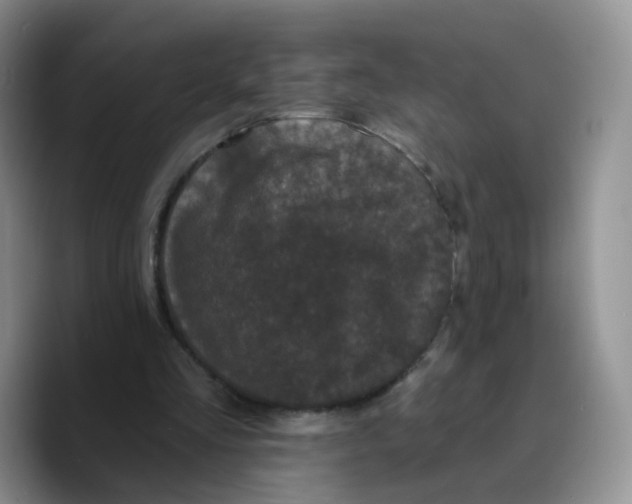 X0000089740293200707201907