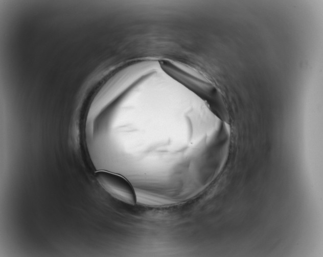 X0000089740294200707201907