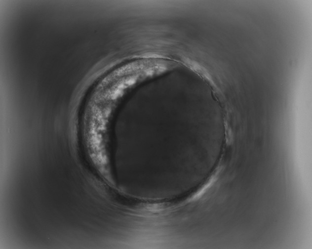 X0000089740295200707201907