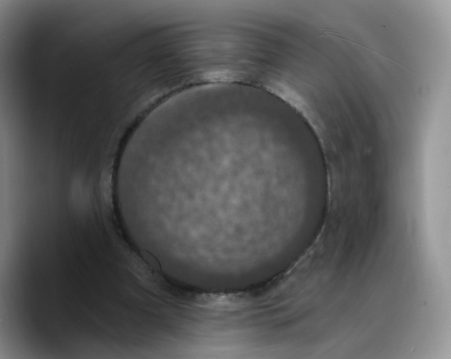 X0000089740297200707201907
