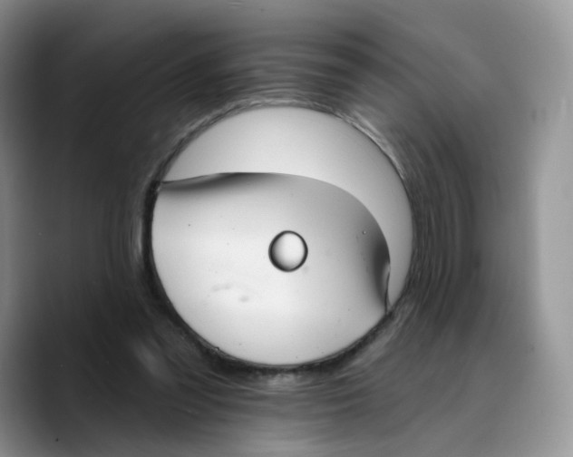 X0000089740301200707201907