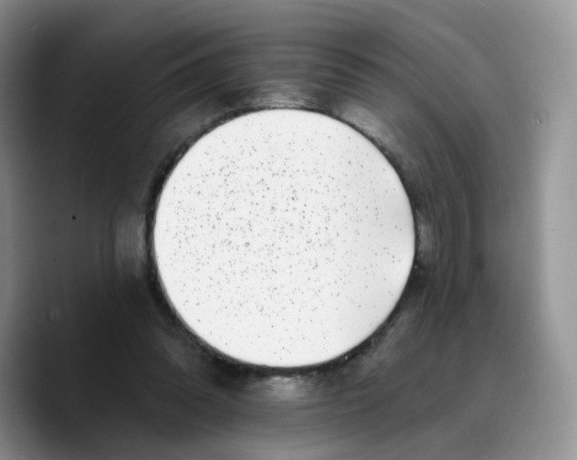 X0000089740302200707201907