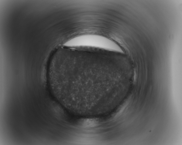 X0000089740303200707201907