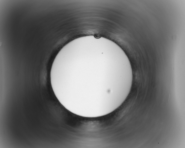 X0000089740304200707201907