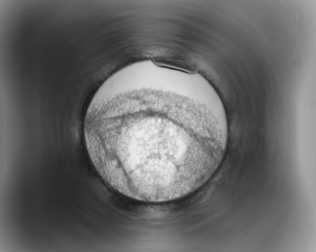 X0000089740305200707201907