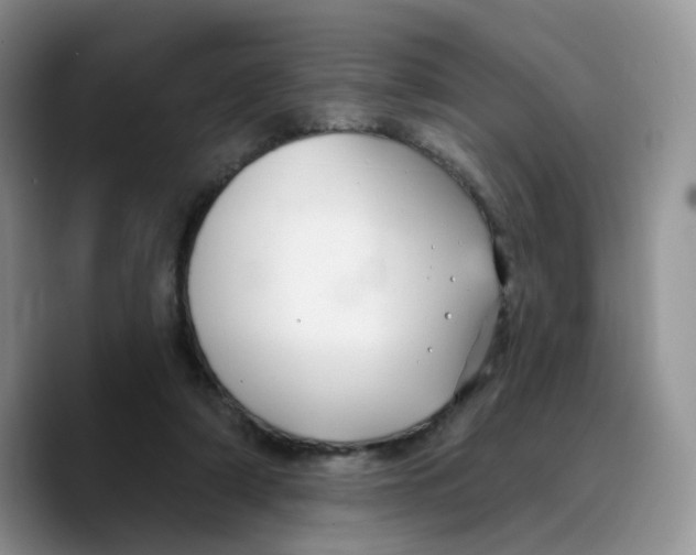X0000089740306200707201907