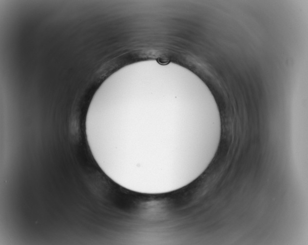 X0000089740312200707201907