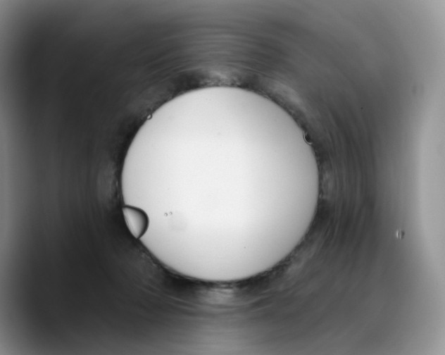 X0000089740318200707201907