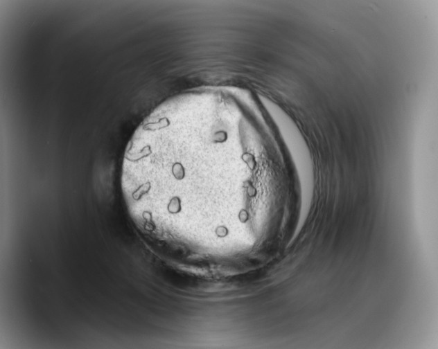 X0000089740319200707201907
