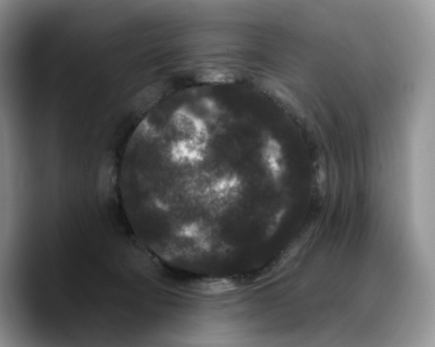 X0000089740322200707201907