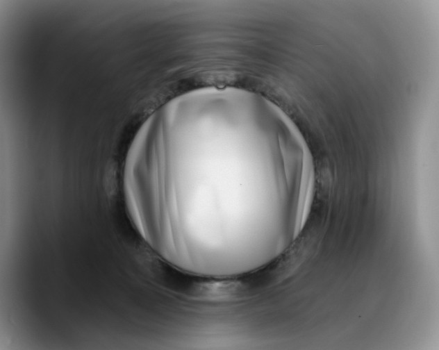 X0000089740323200707201907