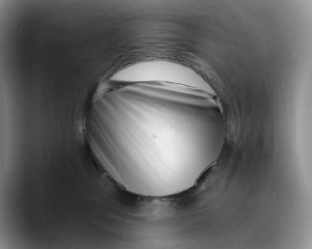 X0000089740329200707201907