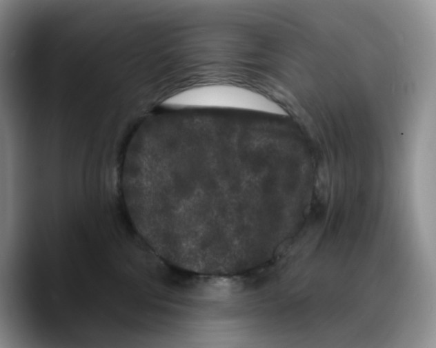X0000089740330200707201907
