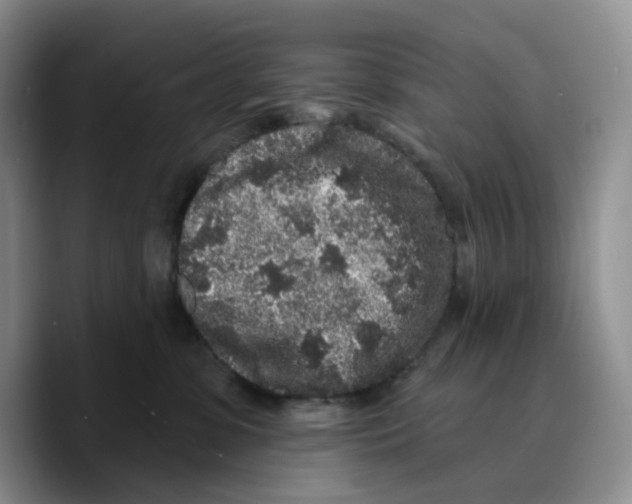 X0000089740331200707201907