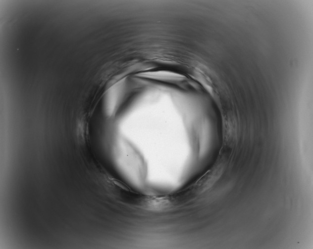 X0000089740333200707201907