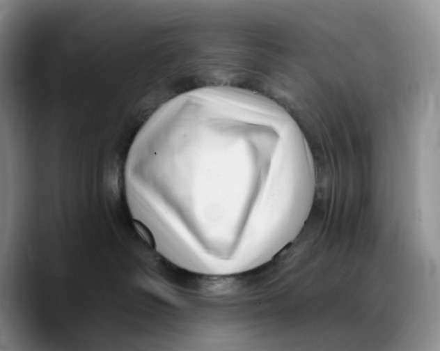 X0000089740334200707201907