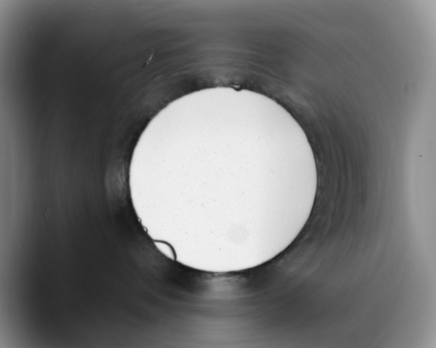 X0000089740336200707201907