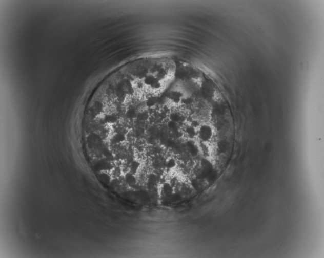X0000089740337200707201906