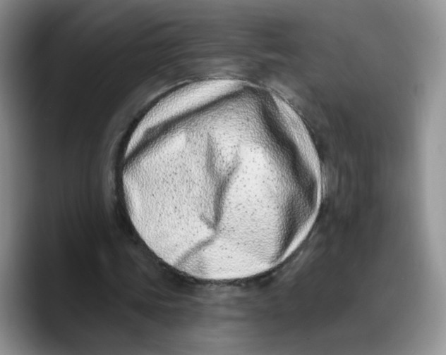 X0000089740339200707201906