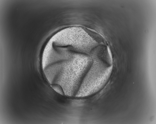 X0000089740342200707201906