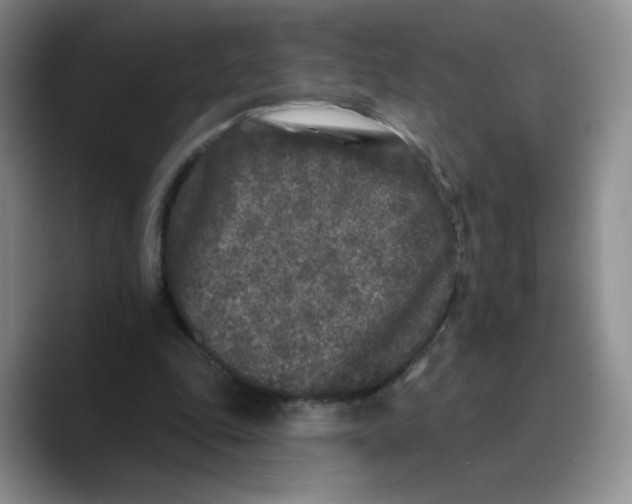 X0000089740343200707201906