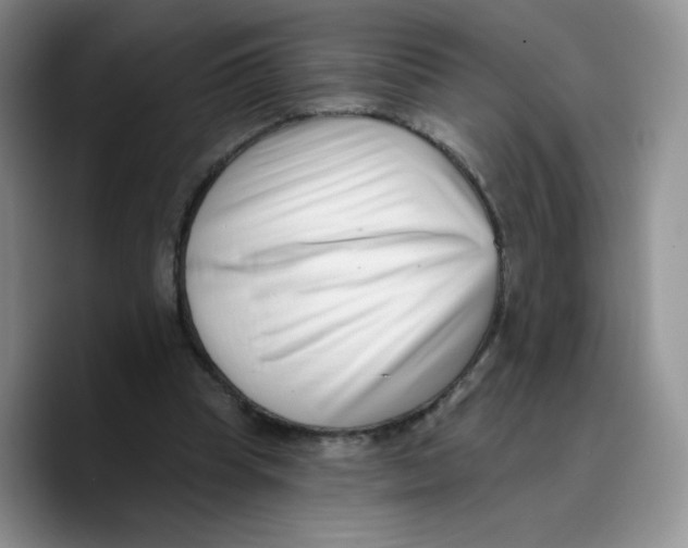 X0000089740345200707201906