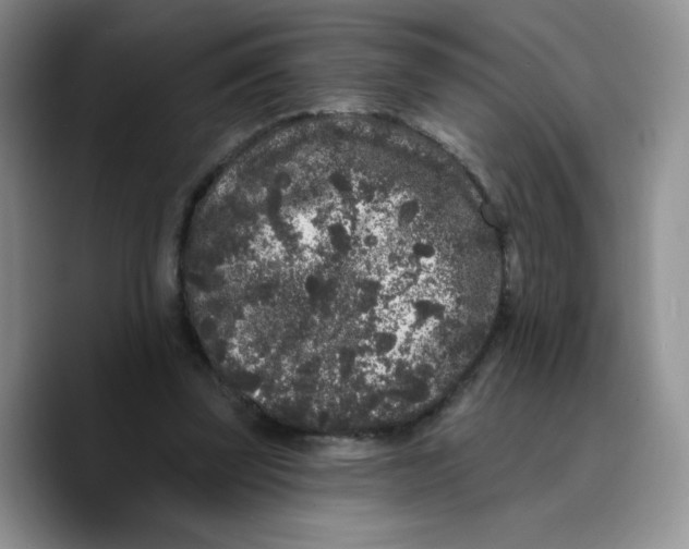 X0000089740347200707201906