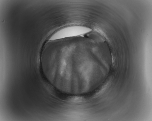 X0000089740348200707201906