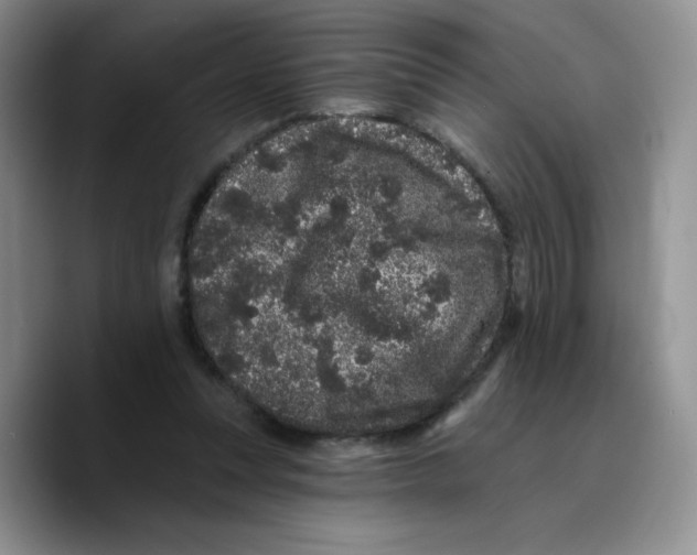 X0000089740351200707201906