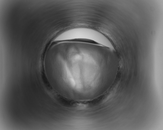 X0000089740352200707201906