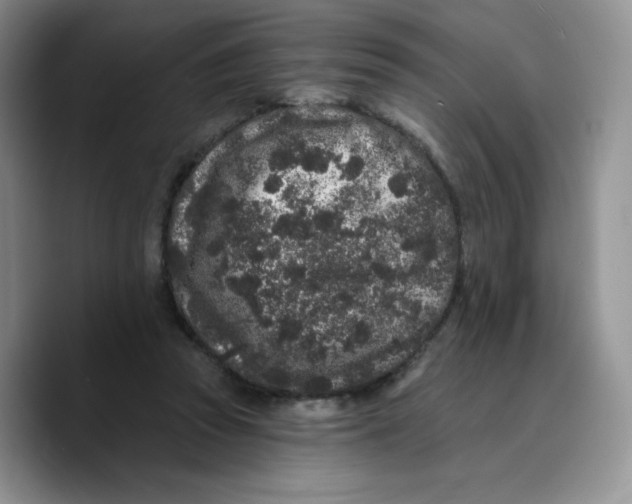 X0000089740353200707201906